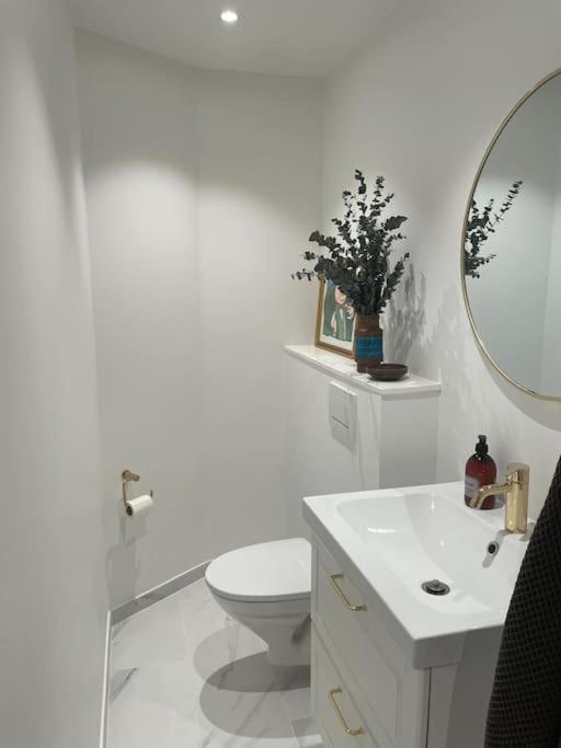 Nyrenoveret Charmerende Lejlighed I Odense C! Apartment Ngoại thất bức ảnh