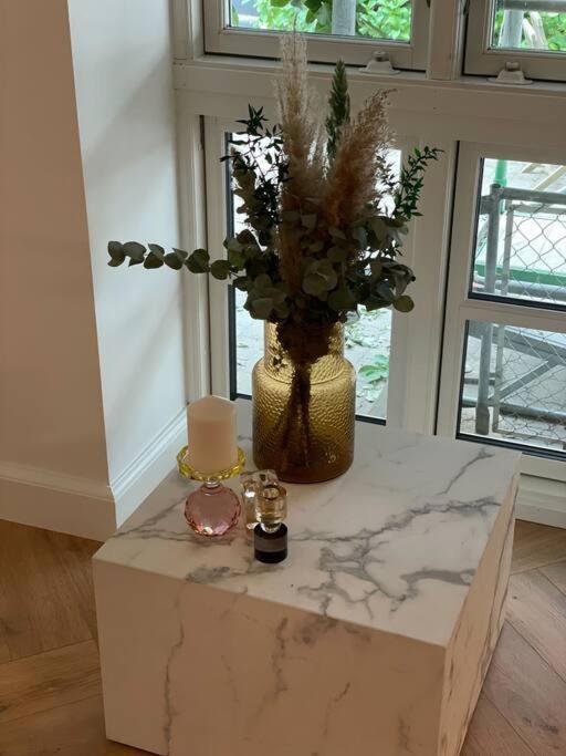 Nyrenoveret Charmerende Lejlighed I Odense C! Apartment Ngoại thất bức ảnh
