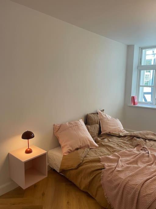 Nyrenoveret Charmerende Lejlighed I Odense C! Apartment Ngoại thất bức ảnh