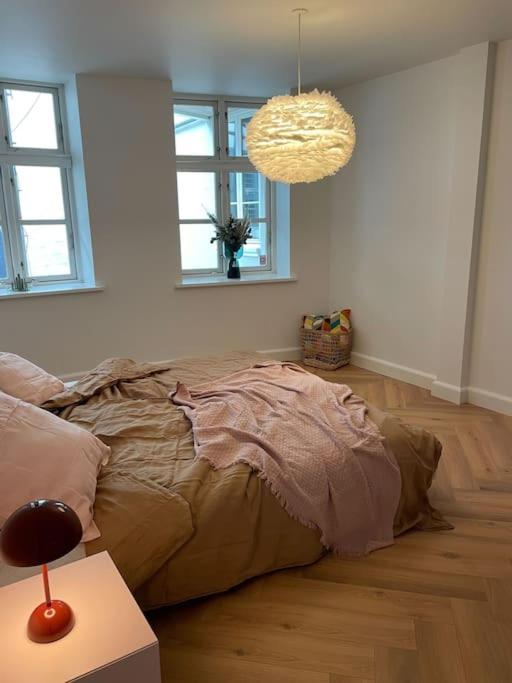 Nyrenoveret Charmerende Lejlighed I Odense C! Apartment Ngoại thất bức ảnh